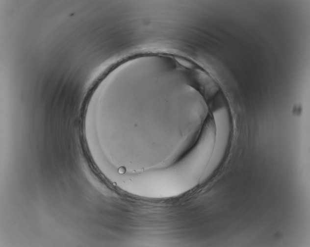X0000113060438200910091147