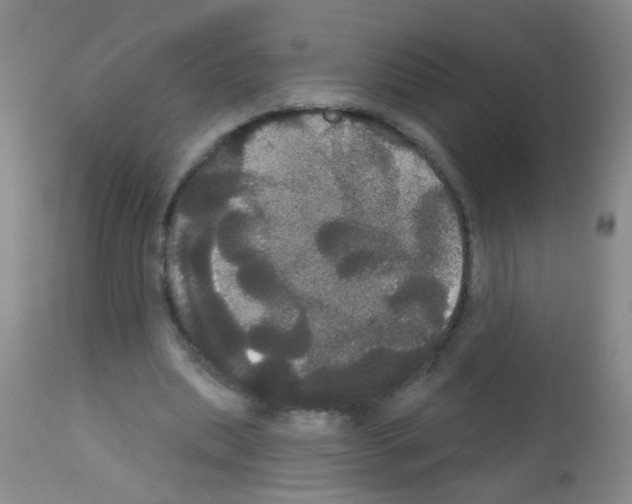 X0000113060439200910091147