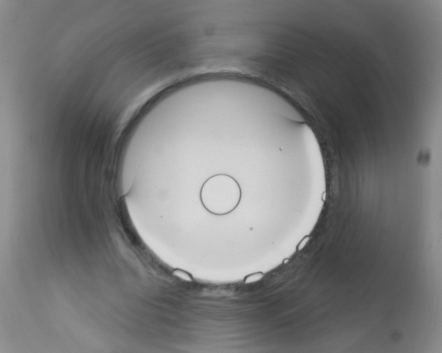 X0000113060440200910091147