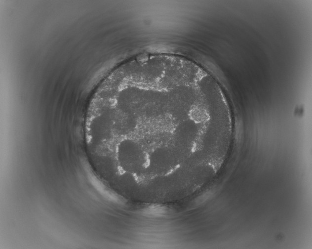 X0000113060441200910091147