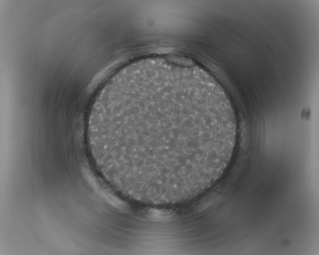 X0000113060442200910091147