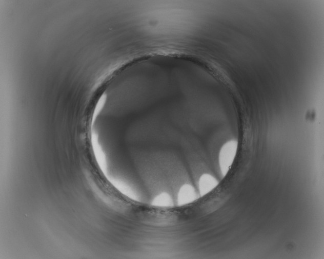 X0000113060443200910091147