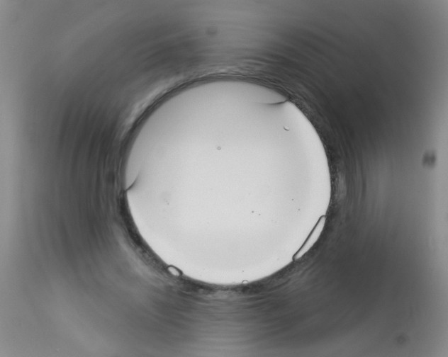 X0000113060444200910091147
