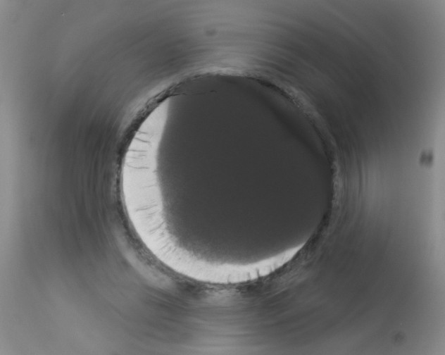 X0000113060446200910091147