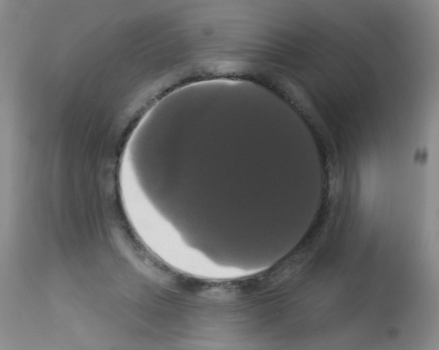 X0000113060447200910091147