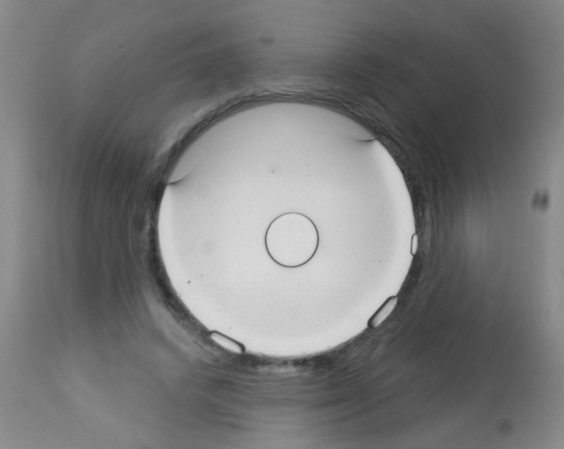 X0000113060448200910091147