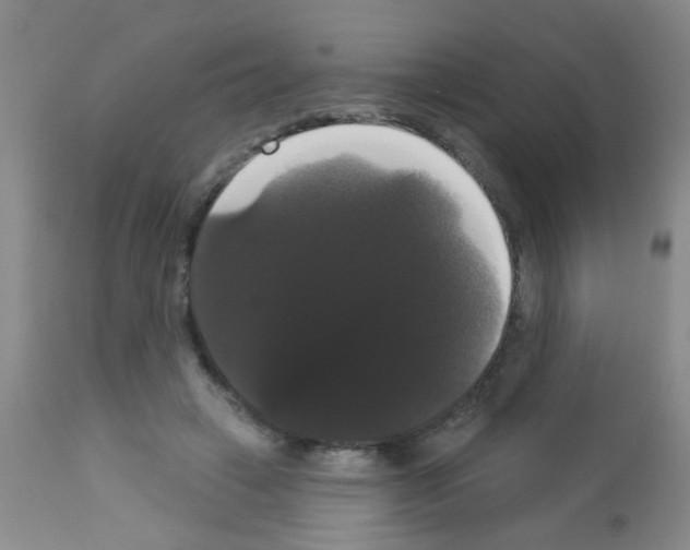 X0000113060449200910091147