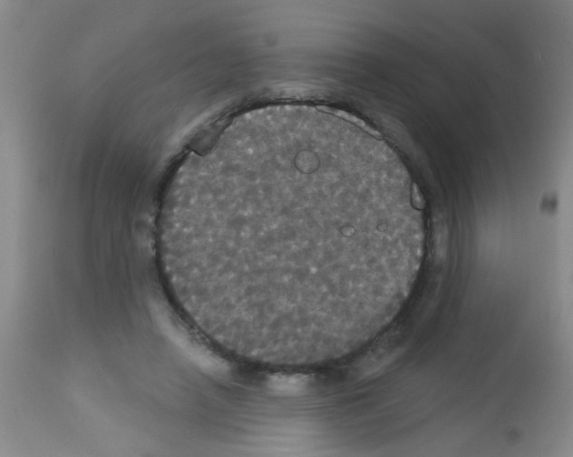 X0000113060450200910091147
