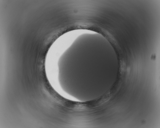 X0000113060451200910091147