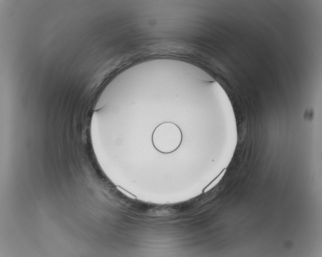 X0000113060452200910091147