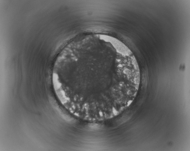 X0000113060453200910091147