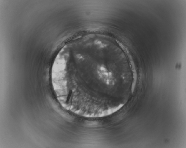 X0000113060454200910091147