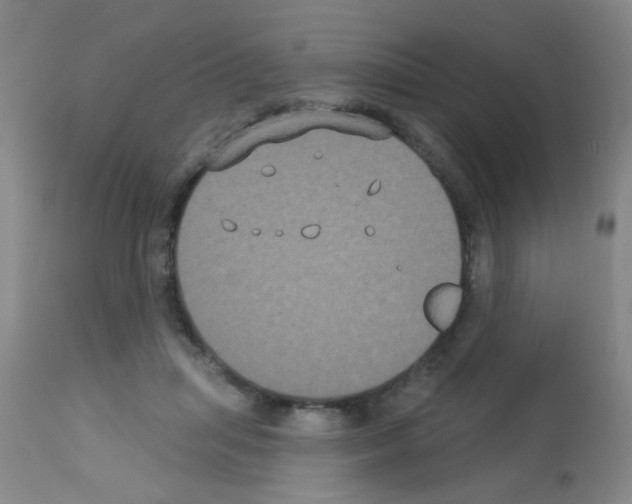 X0000113060455200910091147