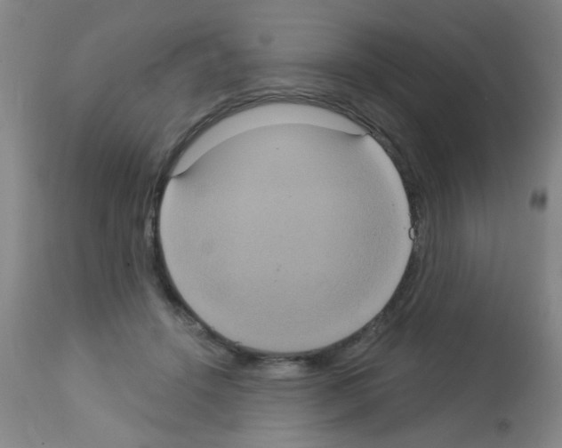 X0000113060456200910091147