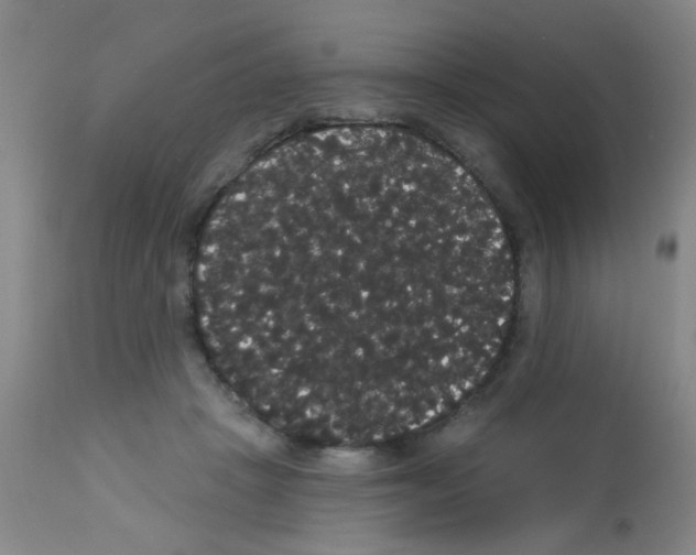 X0000113060457200910091147