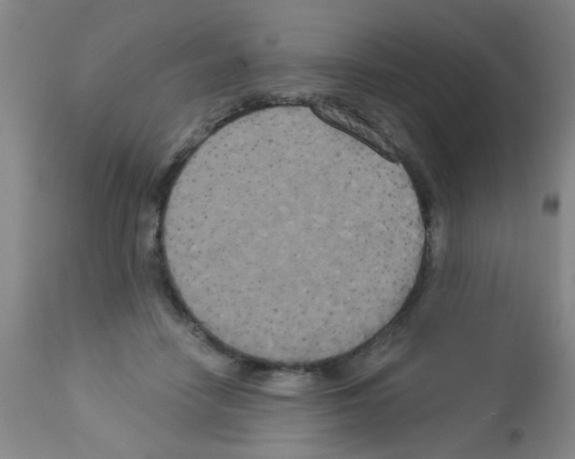 X0000113060458200910091147