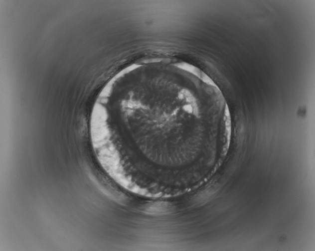 X0000113060459200910091147