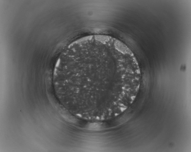 X0000113060461200910091148