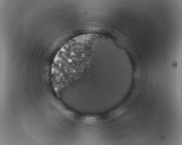 X0000113060462200910091148