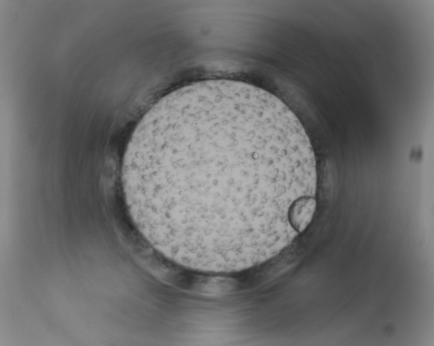 X0000113060463200910091148