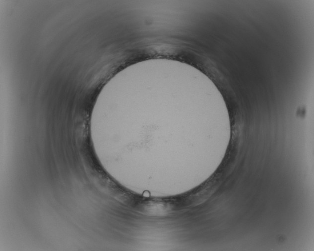 X0000113060464200910091148
