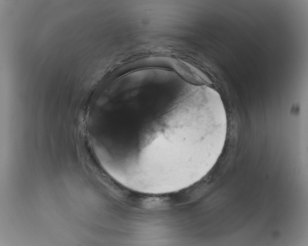 X0000113060465200910091148