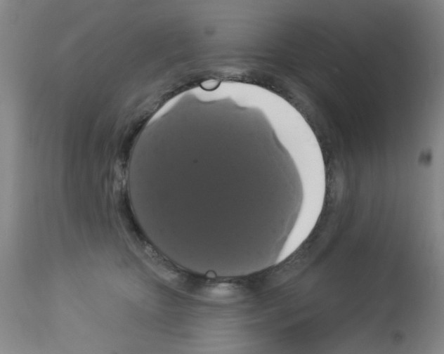 X0000113060467200910091148
