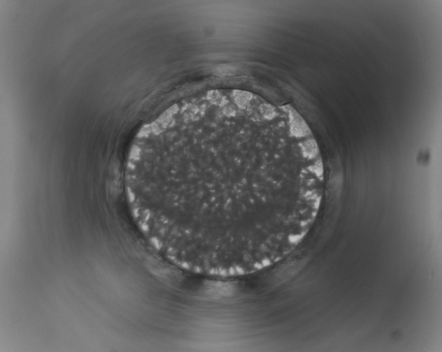 X0000113060469200910091148