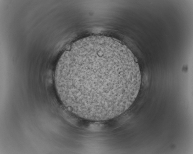 X0000113060470200910091148