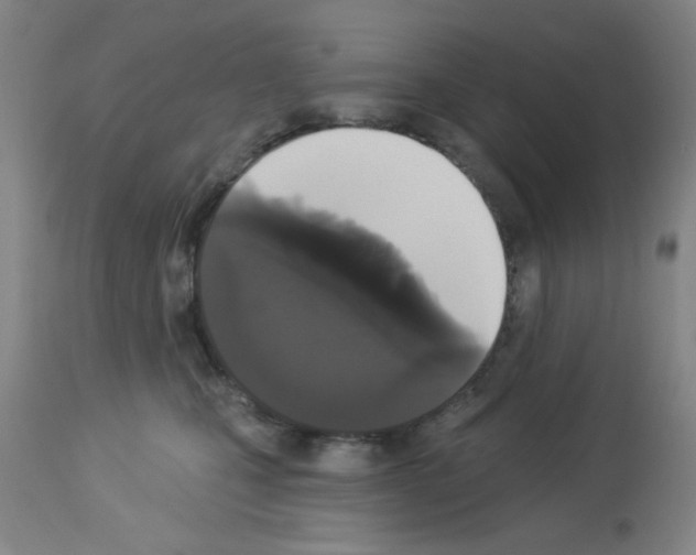 X0000113060471200910091148