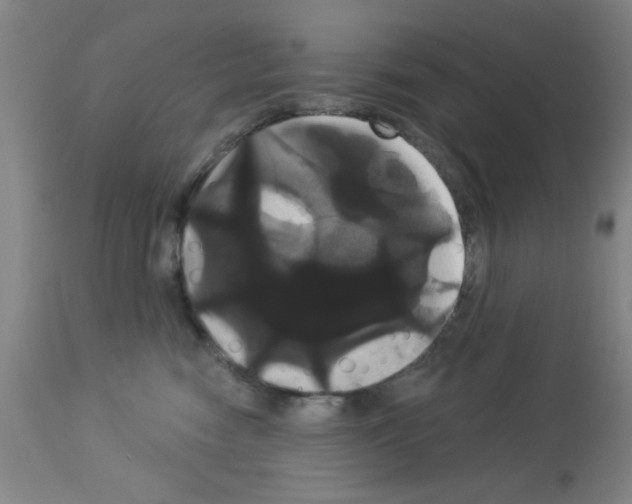 X0000113060474200910091148
