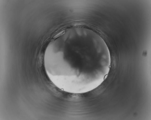 X0000113060475200910091148