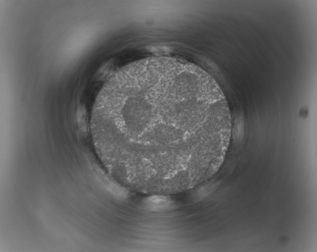 X0000113060477200910091148