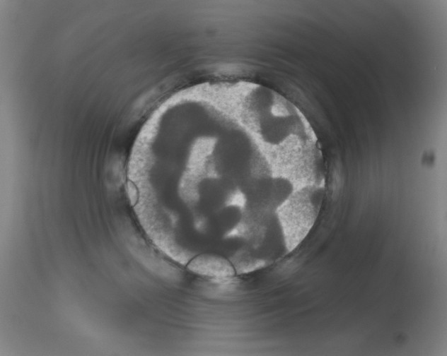 X0000113060478200910091148