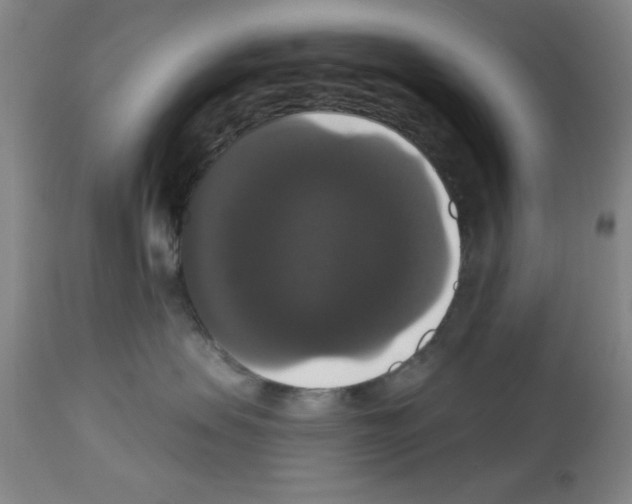 X0000113060479200910091148