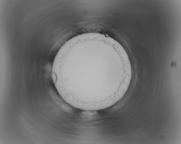 X0000113060480200910091148