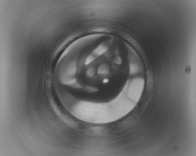 X0000113060482200910091147