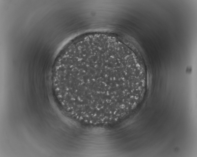 X0000113060483200910091147