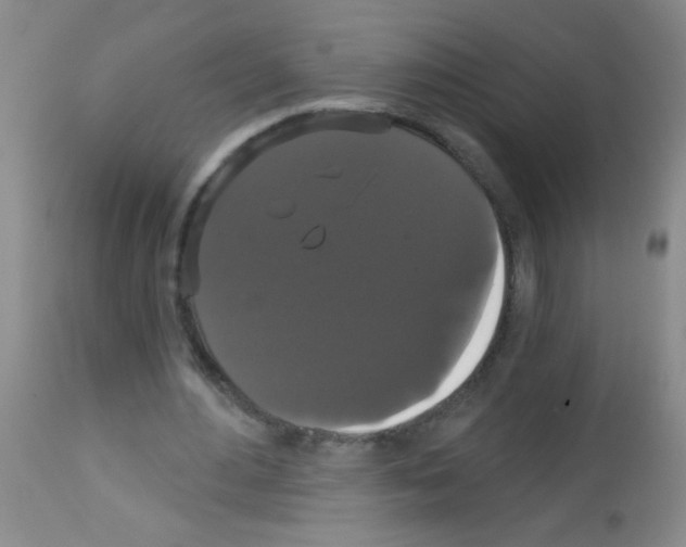 X0000113060484200910091147