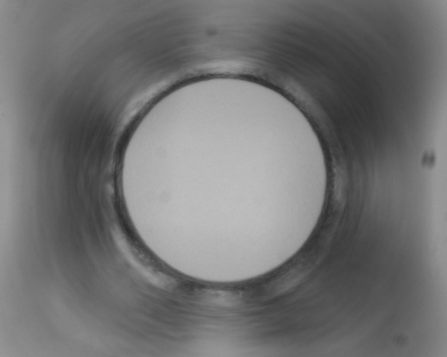 X0000113060486200910091147