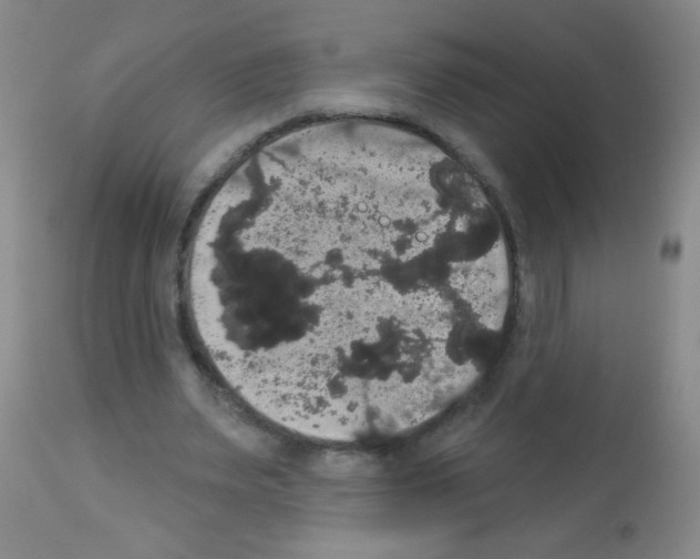 X0000113060487200910091147