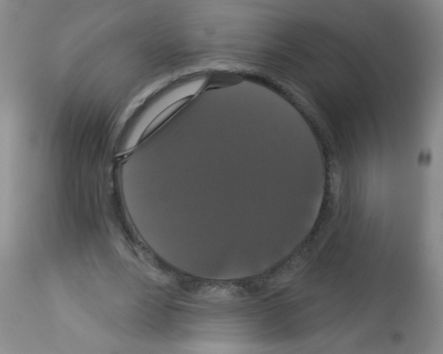 X0000113060488200910091147