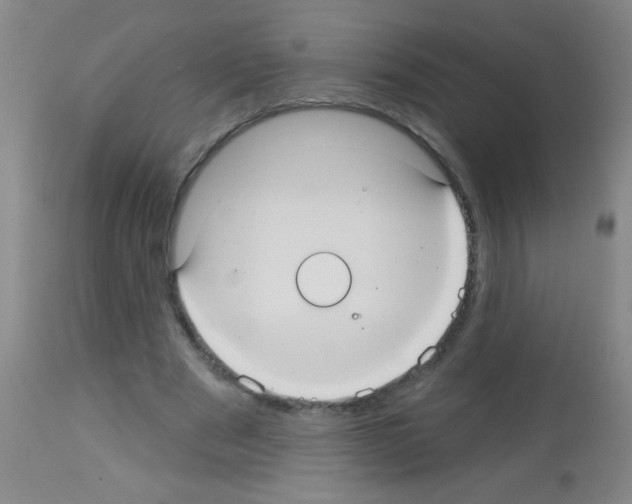 X0000113060489200910091147