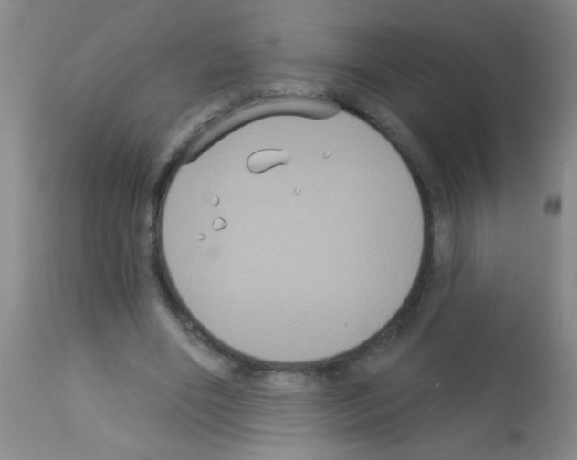 X0000113060490200910091147