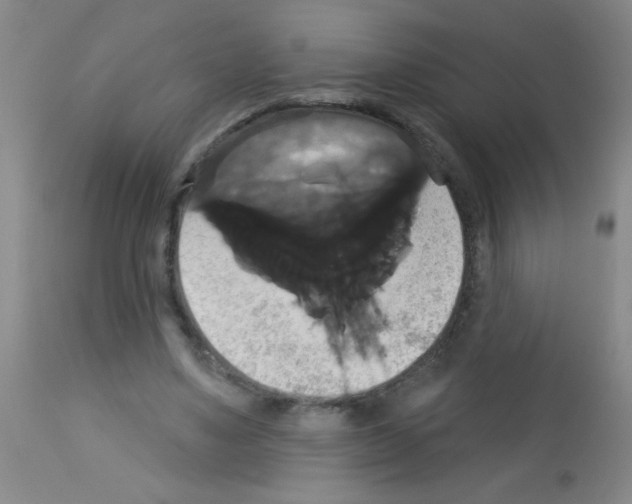 X0000113060491200910091147