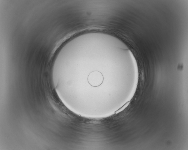 X0000113060492200910091147