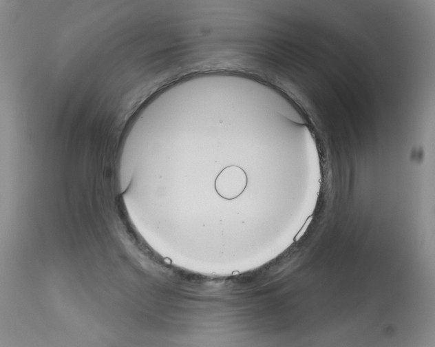 X0000113060493200910091147