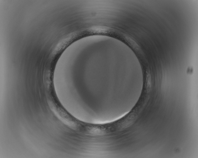 X0000113060494200910091147