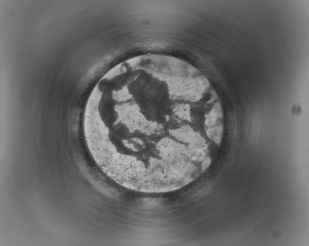 X0000113060495200910091147