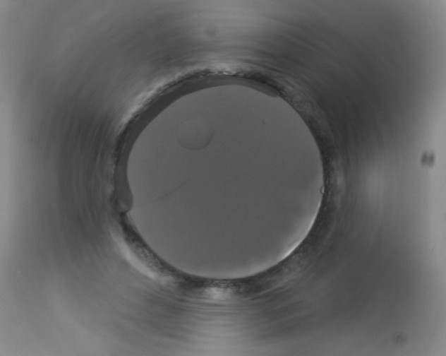 X0000113060496200910091147